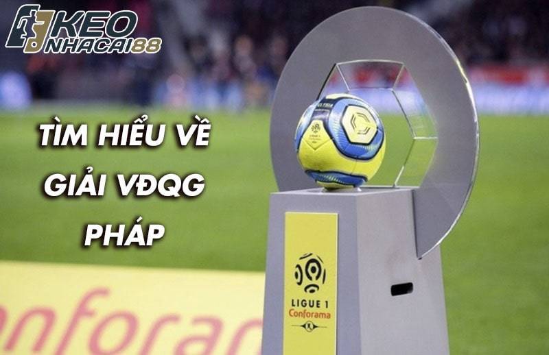 Tìm hiểu về giải Ligue 1 - VĐQG Pháp
